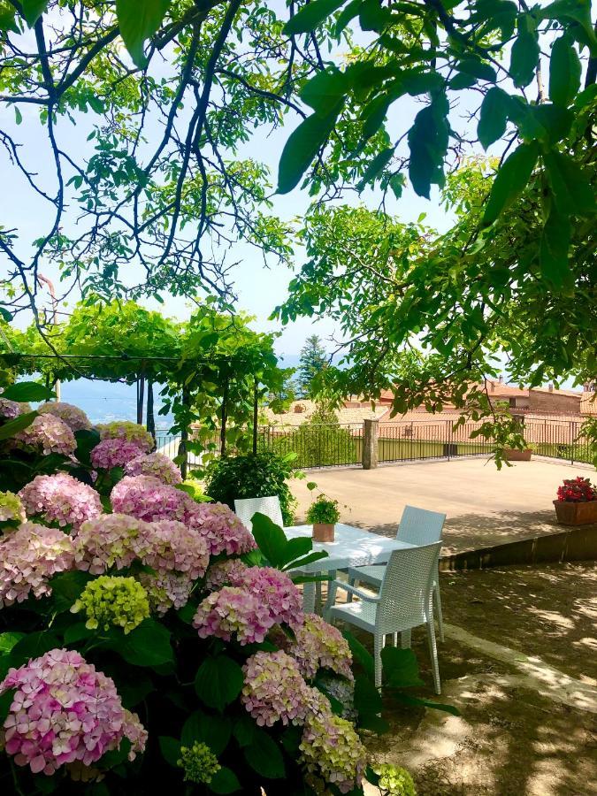 Il Ciliegio Villa Stella Cilento Eksteriør bilde